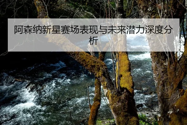 阿森纳新星赛场表现与未来潜力深度分析